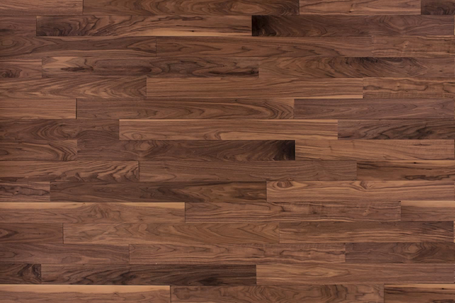 Nussbaum strukturiert natur